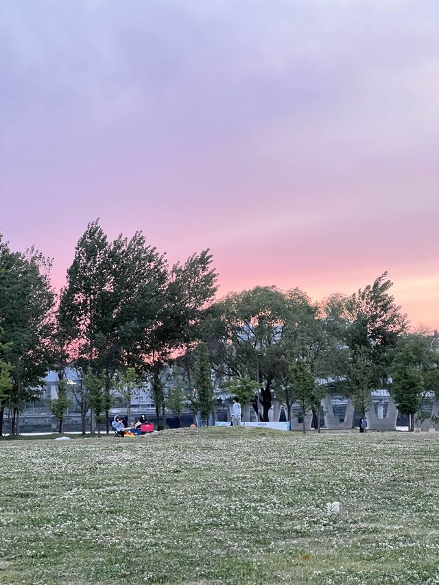 사람 없는 한적한 광나루 한강공원 💚