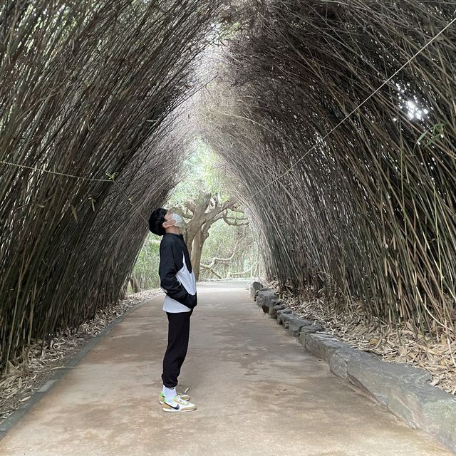 여수 여행의 필수코스, 산책하기 좋은 섬 오동도