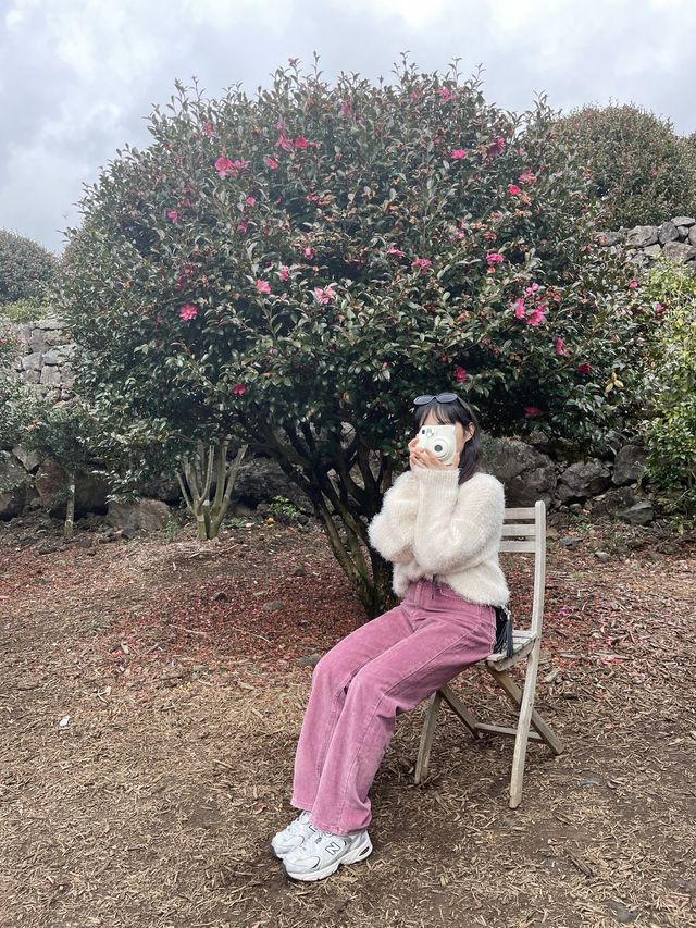 동백꽃을 가장 가성비로 볼 수 있는 곳 [동백 포레스트]