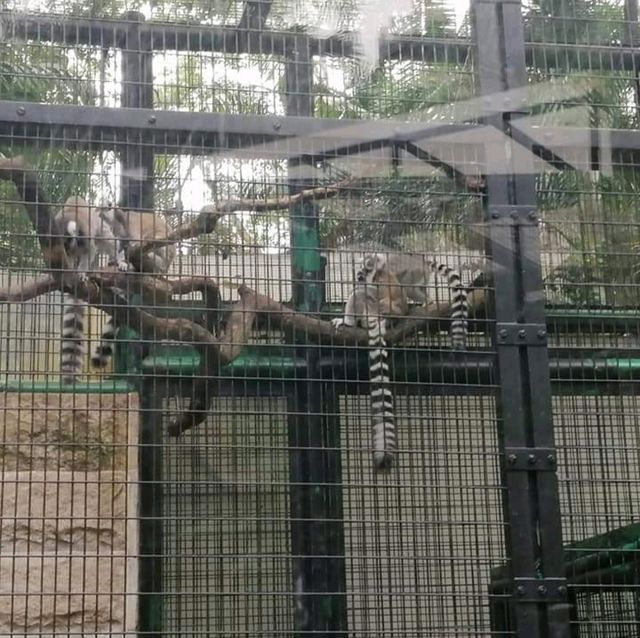 香港公園 & 動植物公園