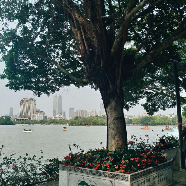 日夜都值一遊的惠州西湖🌳