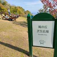 【兵庫 神戸】ハンモックでのんびり✨