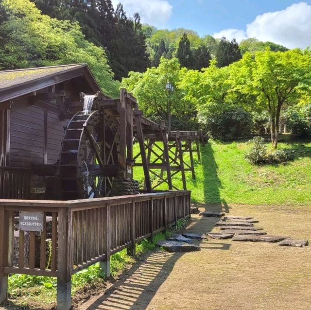 【福井】かずら橋