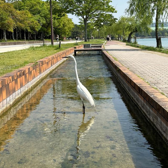 福岡人嘅後花園