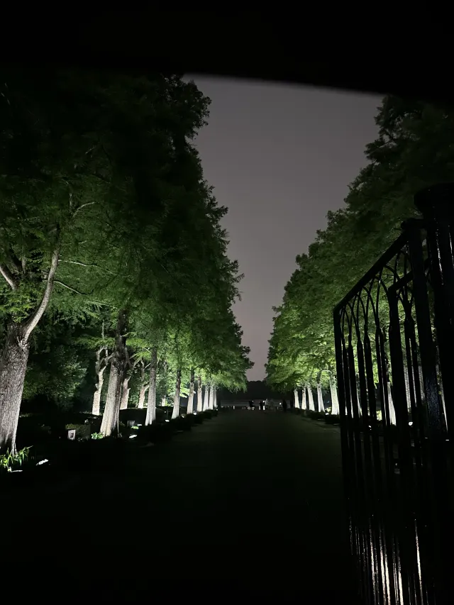 日本楓葉景點|大阪賞楓 長居公園