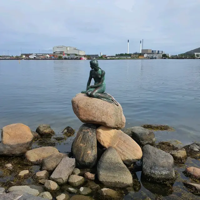 The Little Mermaid in Copenhagen 