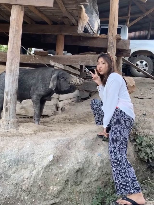 ย้อนเวลาไปเชียงใหม่ ณ 3ป๊อกรีสอร์ท🐘