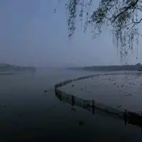 上有天堂，下有蘇杭🏞無庸置疑的人間美景🥹