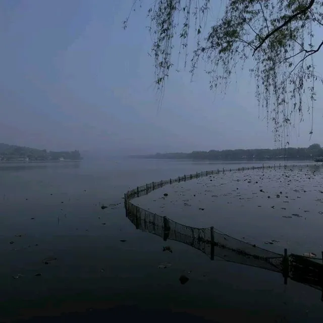 上有天堂，下有蘇杭🏞無庸置疑的人間美景🥹