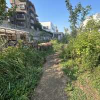 【下北沢】駅のすぐ近くに出来た広場
