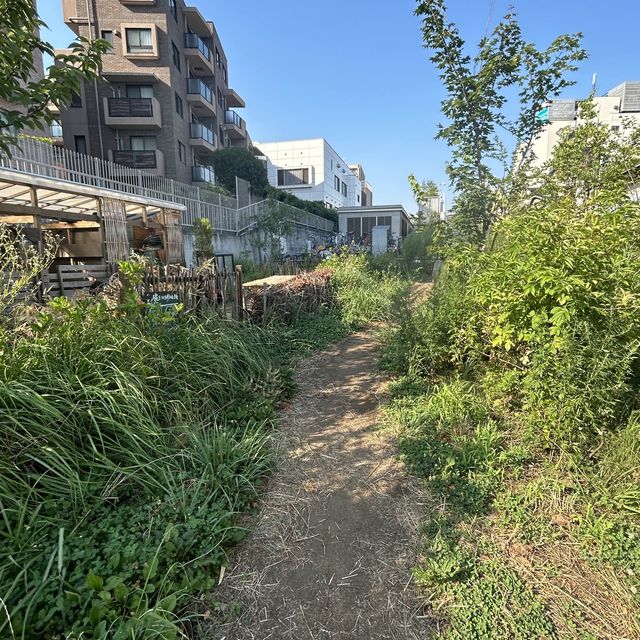 【下北沢】駅のすぐ近くに出来た広場