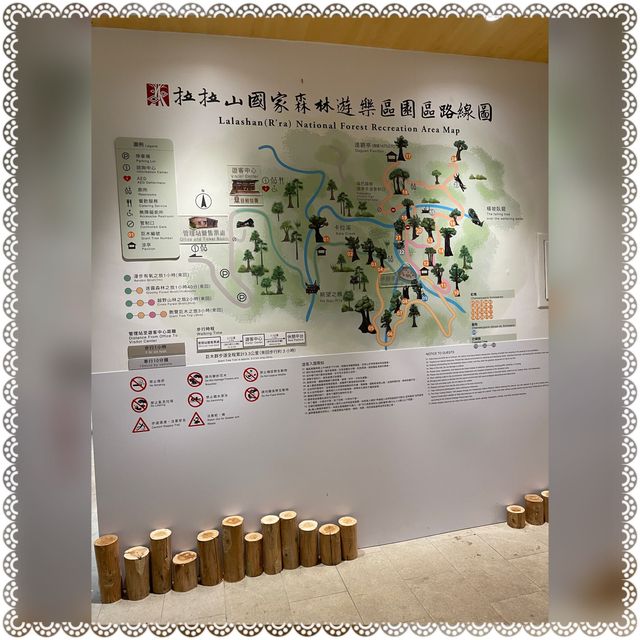 （桃園/復興）享受芬多精的洗禮-拉拉山神木群步道