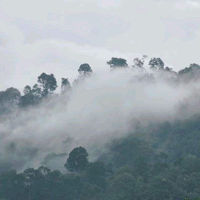 หมู่บ้านในหุบเขาที่อากาศดีที่สุด
