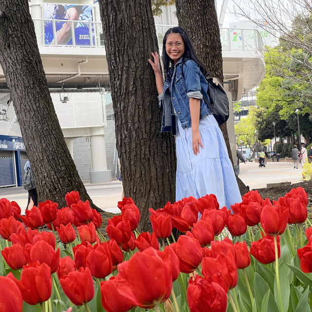 The best Tulip Season in Yokohama Park!