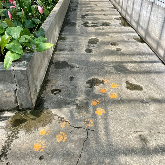 【静岡】ワニだけじゃ無い熱川バナナワニ園🐊