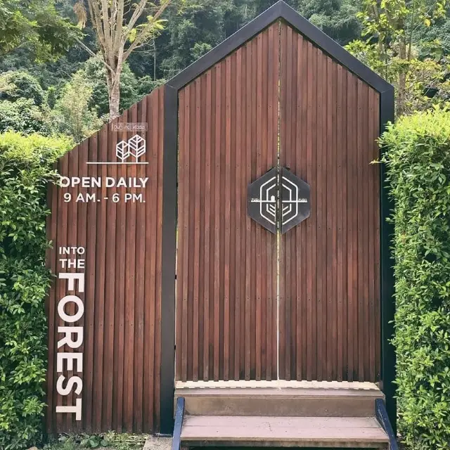 𝗜𝗡𝗧𝗢 𝗧𝗛𝗘 𝗙𝗢𝗥𝗘𝗦𝗧 🌿