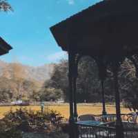 ล้านนารีสอร์ท เชียงใหม่ คาเฟ่ 🍃🌳