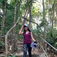 Conquering Heights: Trekking Triumphs