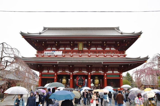 아사쿠사 센소지 浅草寺 구경하기