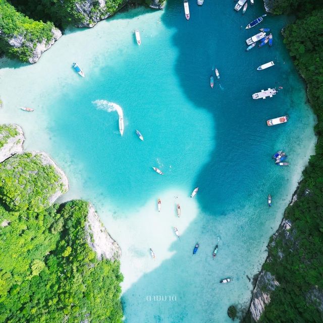 เที่ยว One Day Trip : เกาะพีพี 🏝️🌊