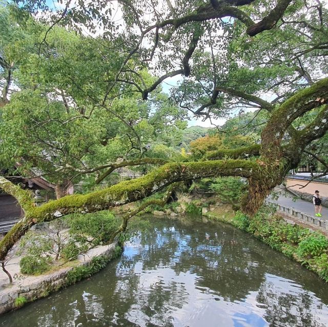 Autumn walk through Dazaifu