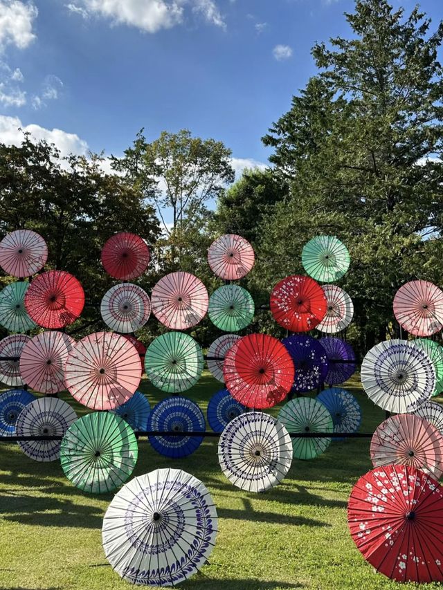 🌸🏞️🍵昭和紀念公園～自然的日式寶地🌸🏞️🍵
