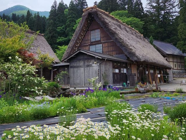 Explore a day in beautiful Takayama