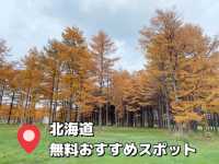 【札幌旅行】 おすすめ無料スポット📍