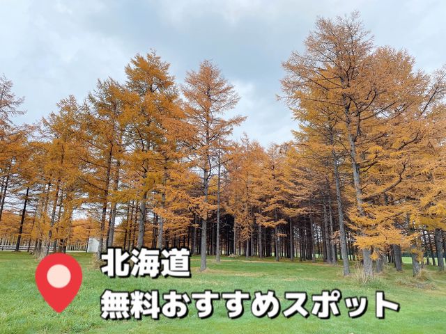 【札幌旅行】 おすすめ無料スポット📍