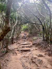 【大自然造就的糸島秘景】