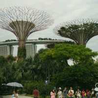 Gardens By The Bay