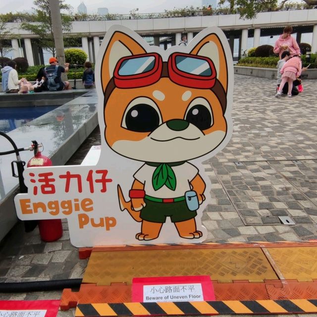 ✨兔來運轉~花燈喜迎春🐇✨