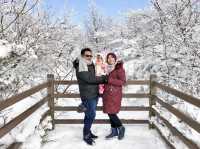 Magical Winter Wonderland at Hallasan Mount 
