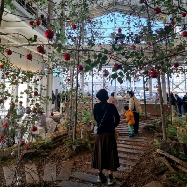 솦속에서 빵먹는 느낌🌳마고포레스트