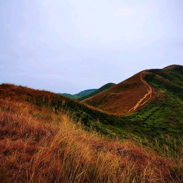 沿著邊境線行山
