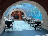 Memorable Summary of Bali Fine Dining Trip