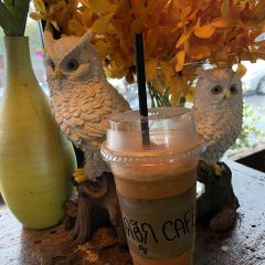 Nokhookcafe' User Photo