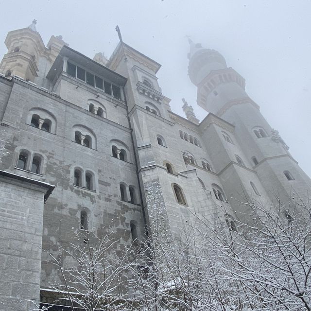 雪のノイシュバンシュタイン城❄️