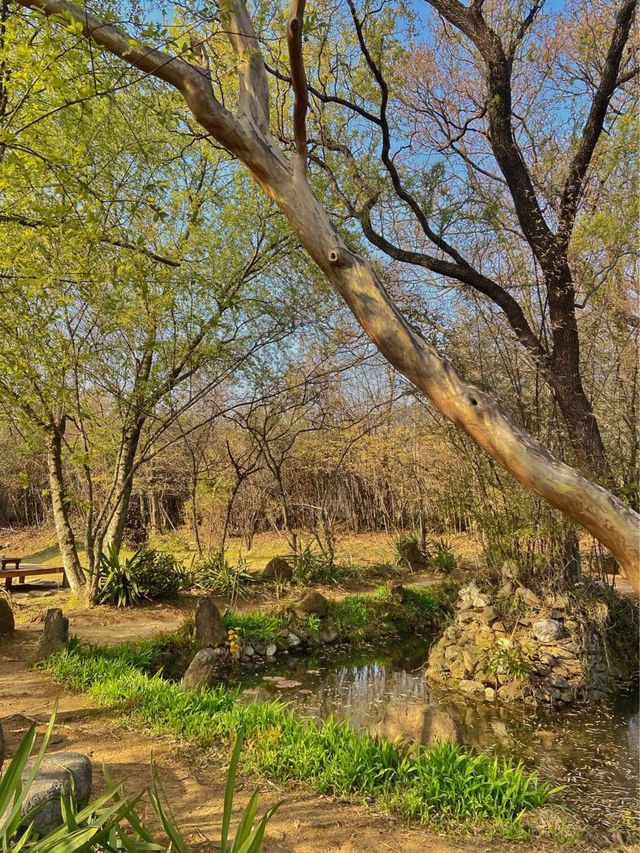 🎋 윤스테이에 나온 그 곳 구례 “쌍산재”