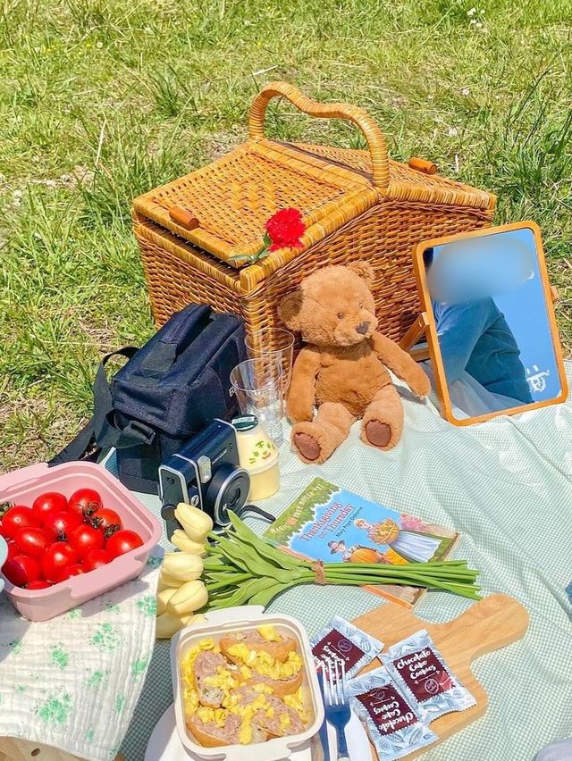 제주 동화 속 그 잡채 피크닉스팟🧺🌿