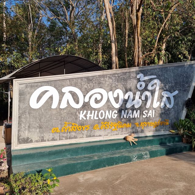 คลายร้อน ณ คลองน้ำใส 🌊🏖️🏞️