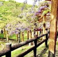羽根谷だんだん公園
