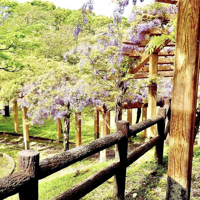 羽根谷だんだん公園