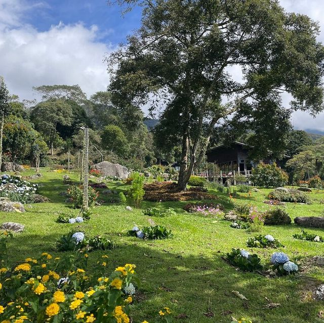 SPRING GARDEN KUNDASANG