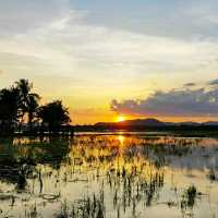 SUNSETS OVERLOOKING THE PADDY FIELD!