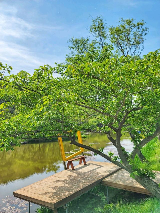 초록 가득한 힐링 한스푼🌿경주 최애여행코스💚