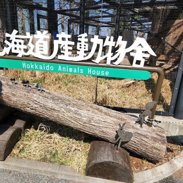Asahiyama Zoo Outing