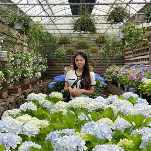 서귀포 힐링 여행지, 보롬왓🌸✨