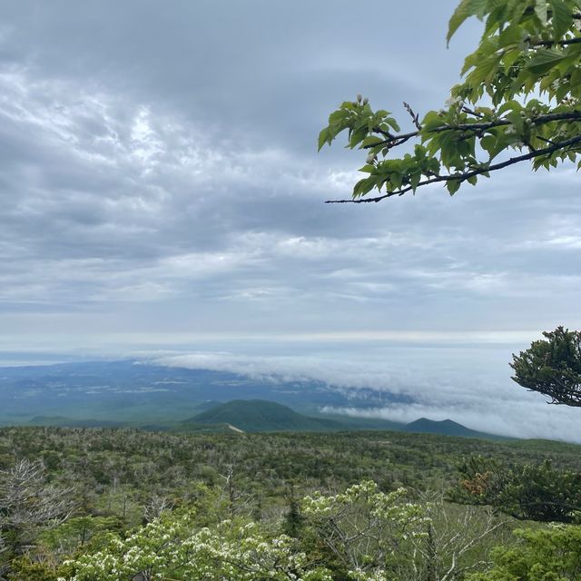 한라산의 맑은 백록담💙