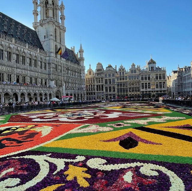 BRUSSELS, BELGIUM🇧🇪 (Flower Carpet)